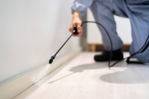 Licensed Termite Control service in Diamondhead, MS - Nex Pest Control