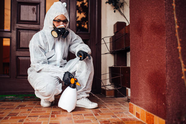 Reliable Termite Control contractor in Diamondhead, MS by Nex Pest Control